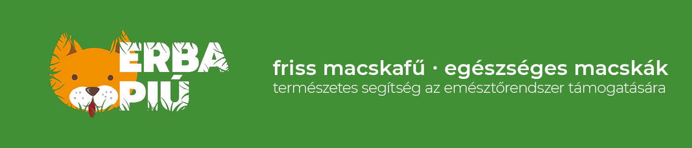 Erba Piú macskafű természetes segítség az emésztőrendszer támogatására