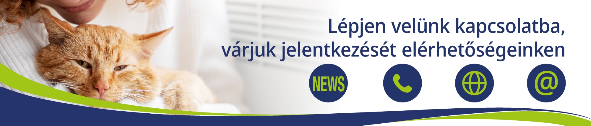 Kapcsolat hírlevél elérhetőség